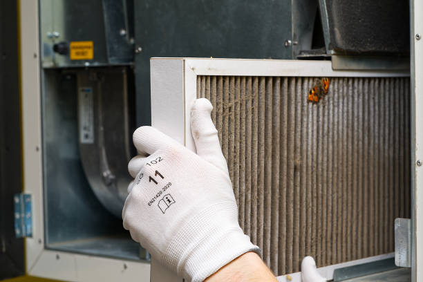 Best Local Air Duct Cleaning Services  in Worthington, KY